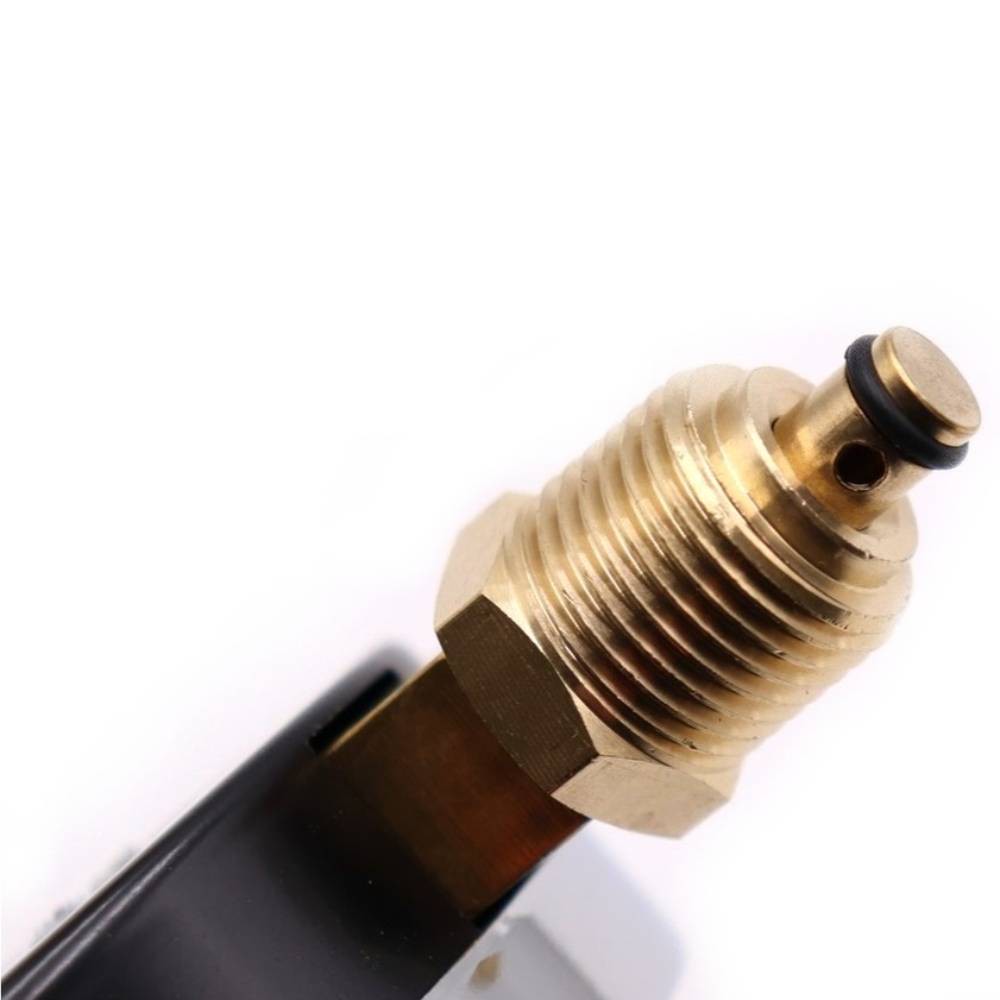 Термоманометр радиальный Vieir 80 мм 6 бар 1/2 YE6