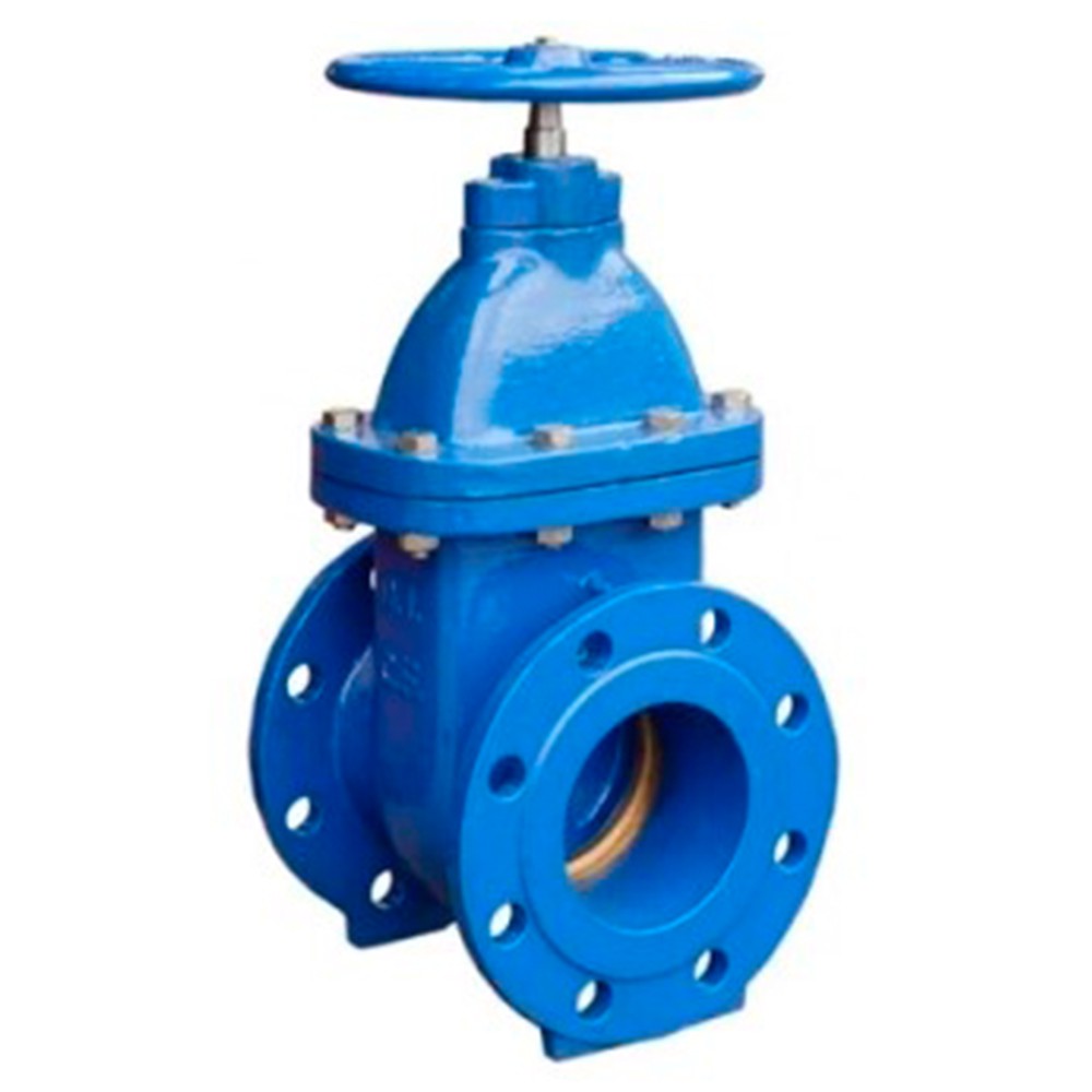 Задвижка чугунная фланцевая RMC 30ч39р Ду80 Ру16 1727655