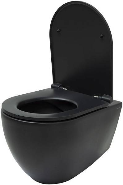 Чаша подвесного унитаза Allen Brau Reality черный 4.32006.31