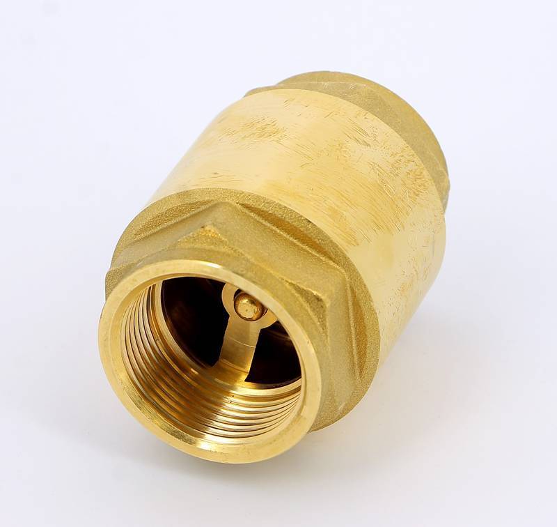 Клапан обратный пружинный ITAP EUROPA 100 1 1/4 с металлическим затвором 1000114