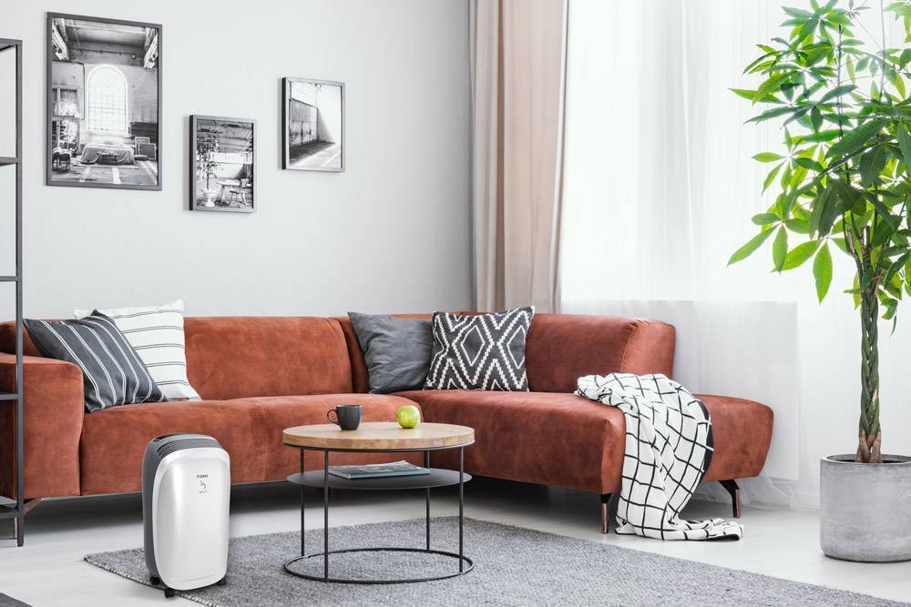 Осушитель воздуха FUNAI NEKO S 10 л/сут RAD-N10T3E