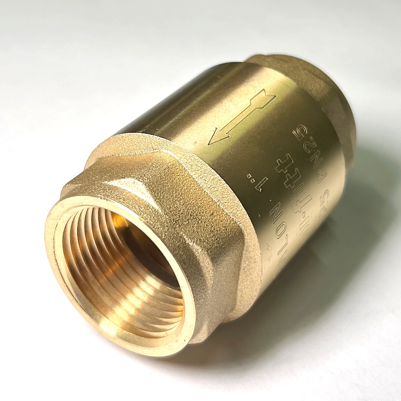 Клапан обратный BВ 1 ETALON пружинный с металлическим затвором