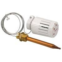 Термостатическая головка Giacomini R462L с капиллярной трубкой 2 м и погружным датчиком R462LX011