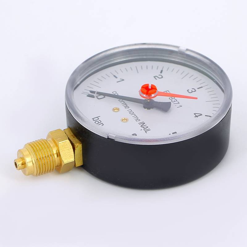 Манометр радиальный Emmeti 3/8 6 бар 80 мм 00614006