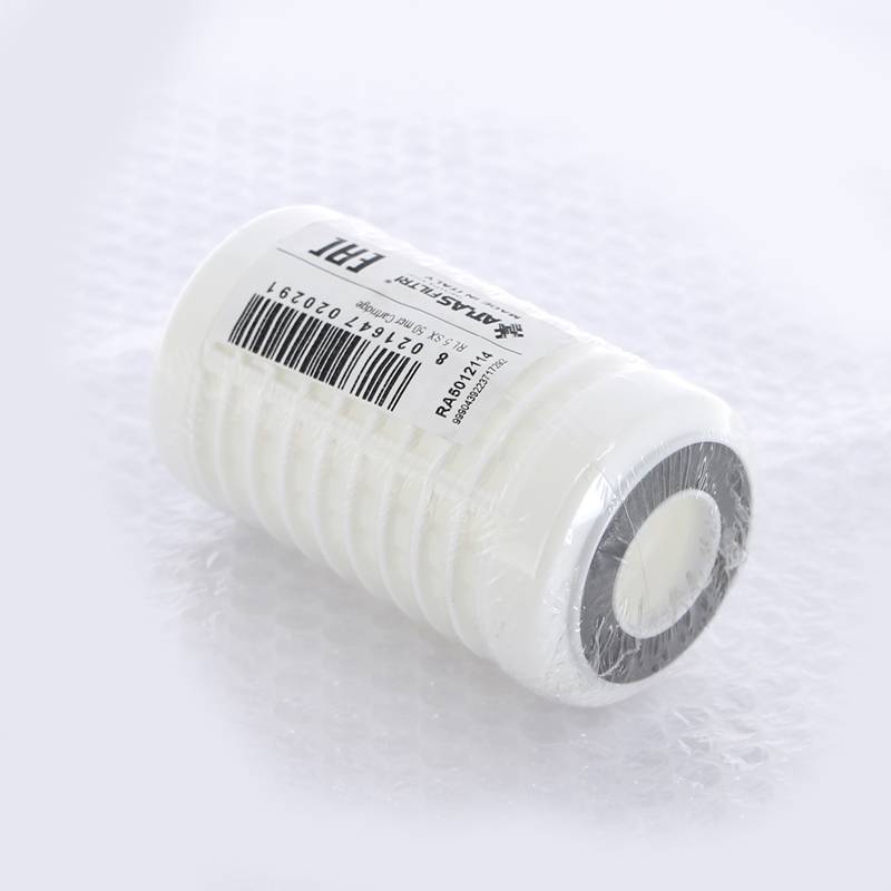Картридж для фильтра Atlas Filtri RL 5 SX 50 мкм RA5012114