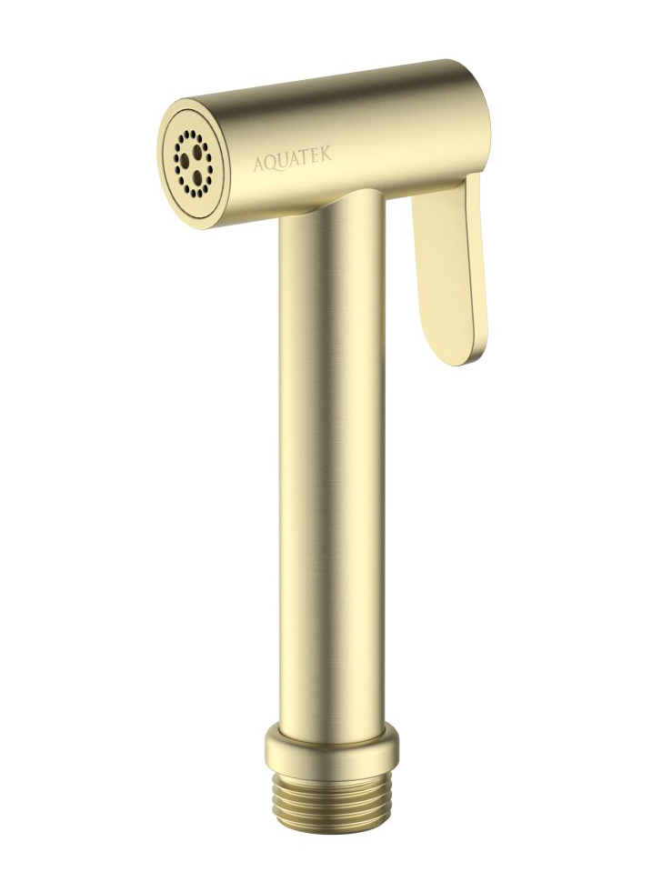 Гигиеническая лейка Aquanet шлифованное золото AQ2057BG