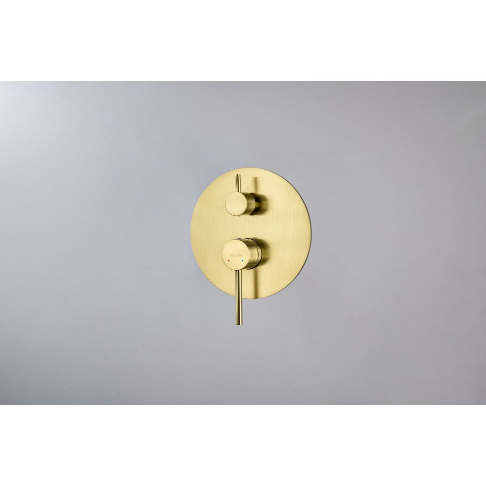 Смеситель для ванны встраиваемый Aquanet Европа 2 режима внешняя и скрытая часть шлифованное золото AQ1346BG