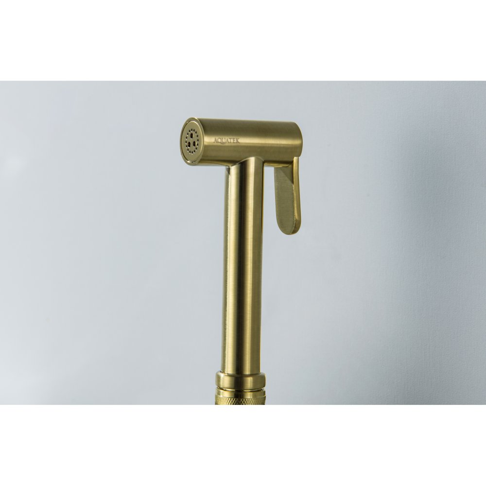 Гигиеническая лейка Aquanet шлифованное золото AQ2057BG