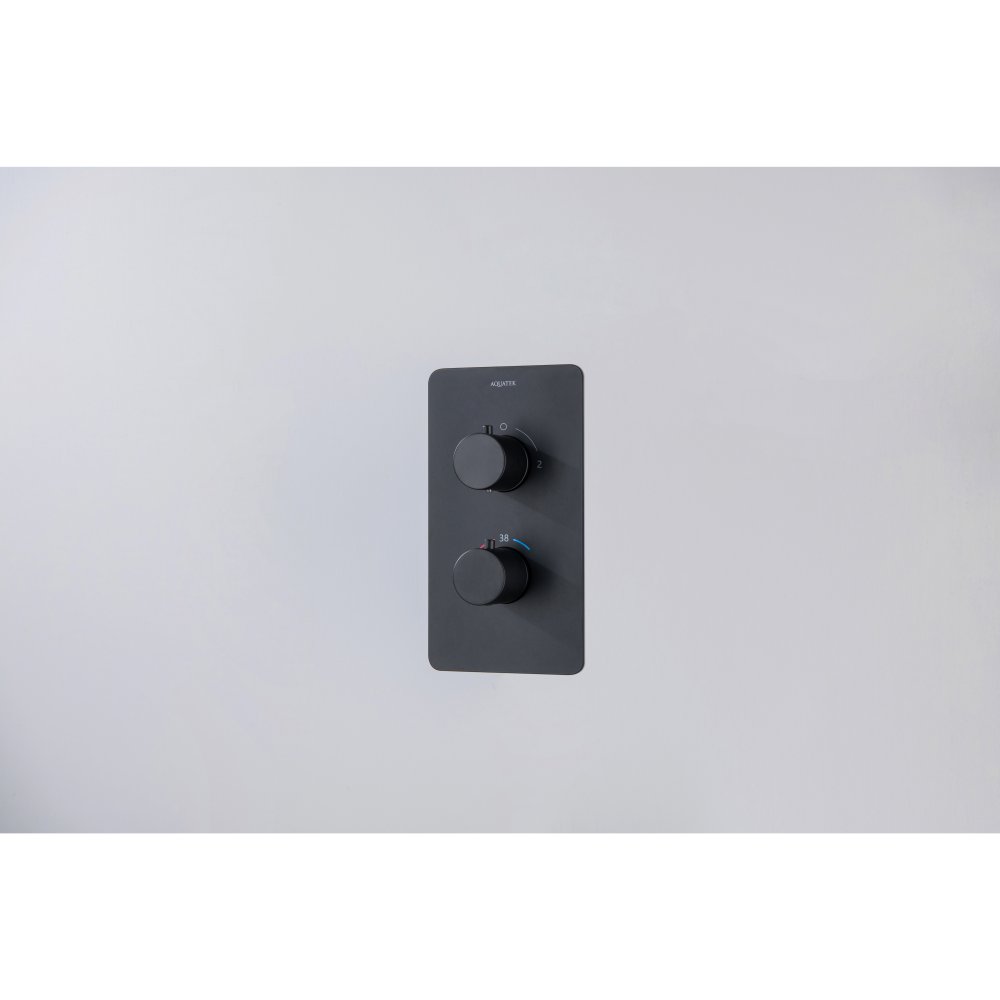 Смеситель термостатический для ванны Aquanet Европа 2 режима комплект со скрытой частью матовый черный AQ1392MB