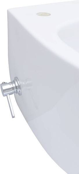 Унитаз подвесной безободковый Allen Brau Fantasy с гигиеническим душем 51x36.3 см 4.11HC1.20