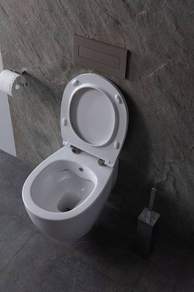 Унитаз подвесной безободковый Allen Brau Fantasy с гигиеническим душем 51x36.3 см 4.11HC1.20