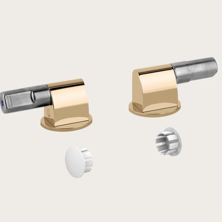 Петли для сиденья унитаза Gessi плавного закрывания Warm Bronze PVD 37584735