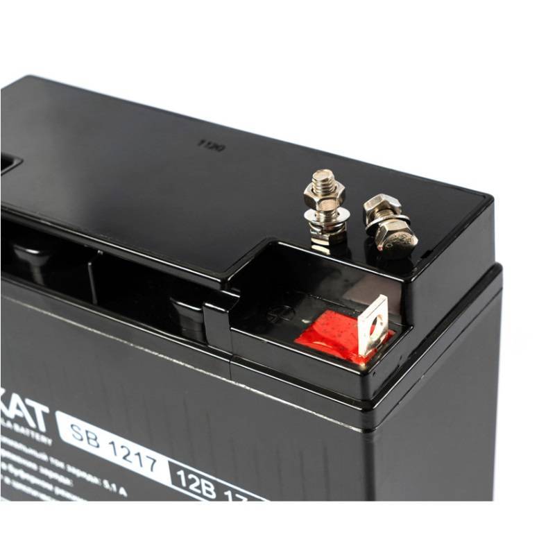 Аккумуляторная батарея Бастион Delta DT 12100 12 В 100 Ач 1217