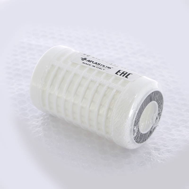 Картридж для фильтра Atlas Filtri RL 5 SX 50 мкм RA5012114