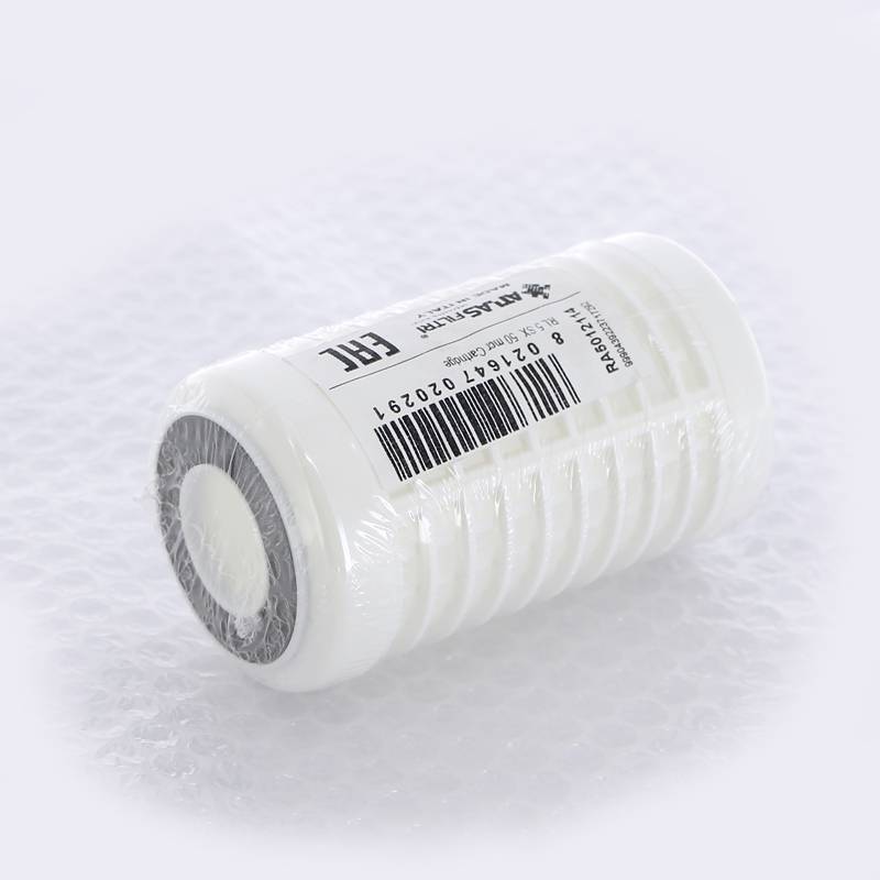 Картридж для фильтра Atlas Filtri RL 5 SX 50 мкм RA5012114