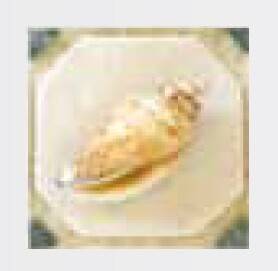 Вставка декоративная Zehnder Coastal ZDECIC