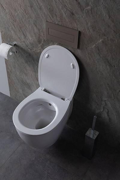 Унитаз подвесной безободковый Allen Brau Fantasy с гигиеническим душем 51x36.3 см 4.11HC1.20