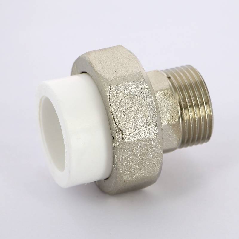 Муфта комбинированная разборная Pro Aqua 25x3/4 НР PA21014