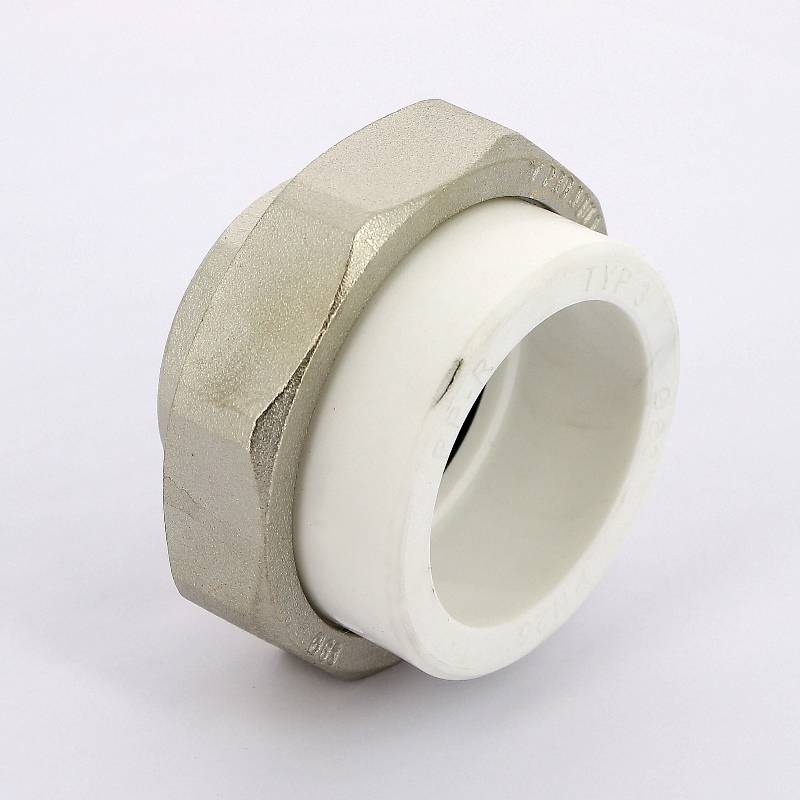 Муфта комбинированная разборная Pro Aqua 63 мм x 2 В PA20024