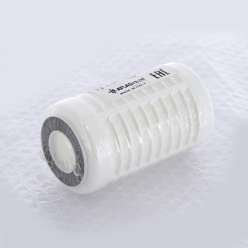 Картридж для фильтра Atlas Filtri RL 5 SX 50 мкм RA5012114