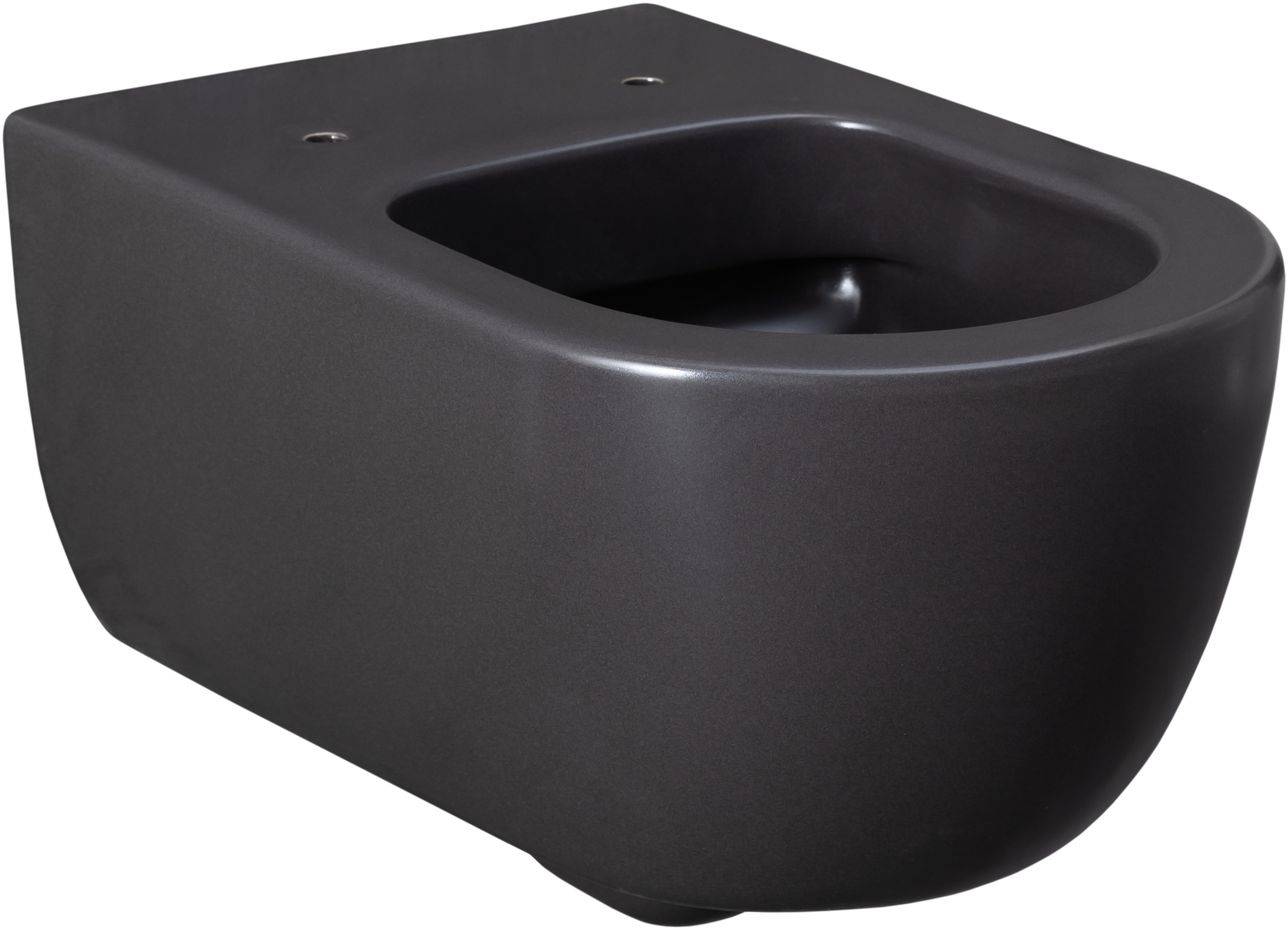 Чаша подвесного унитаза Allen Brau Priority 36х54.5х33 см серый 4.31001.AN