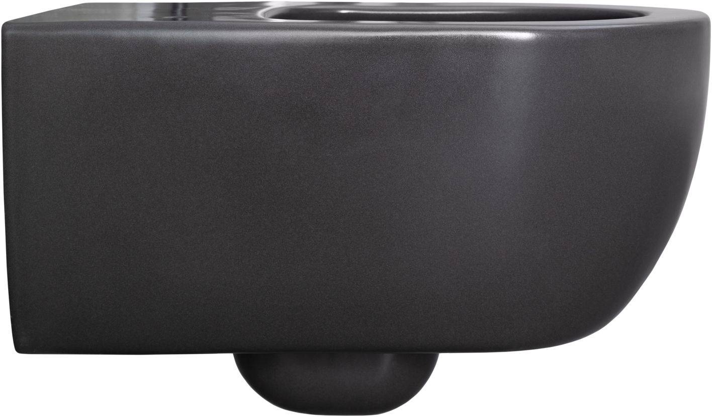 Чаша подвесного унитаза Allen Brau Priority 36х54.5х33 см серый 4.31001.AN