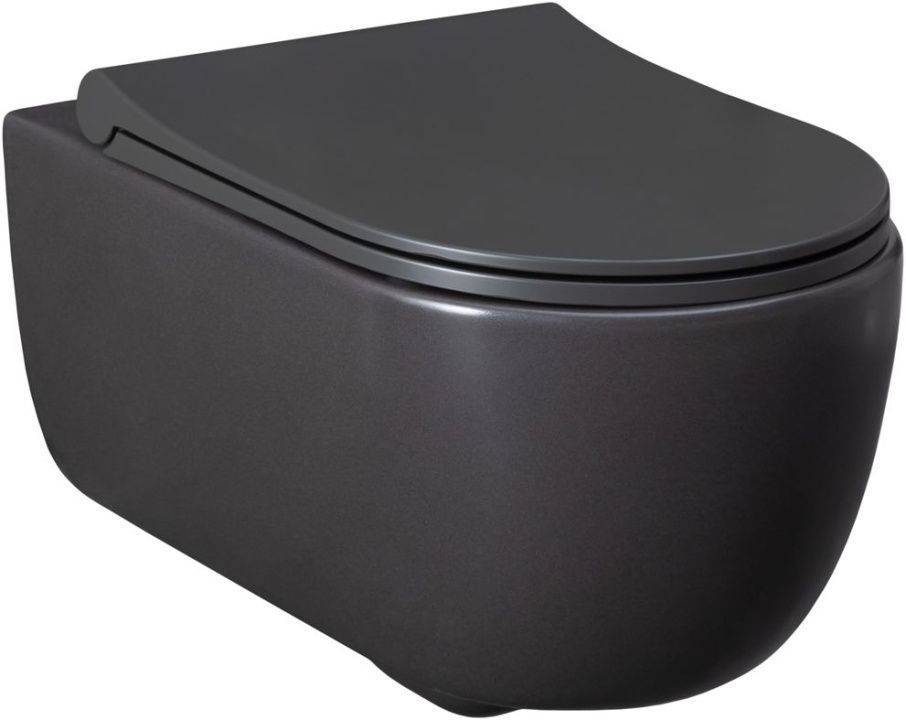 Чаша подвесного унитаза Allen Brau Priority 36х54.5х33 см серый 4.31001.AN