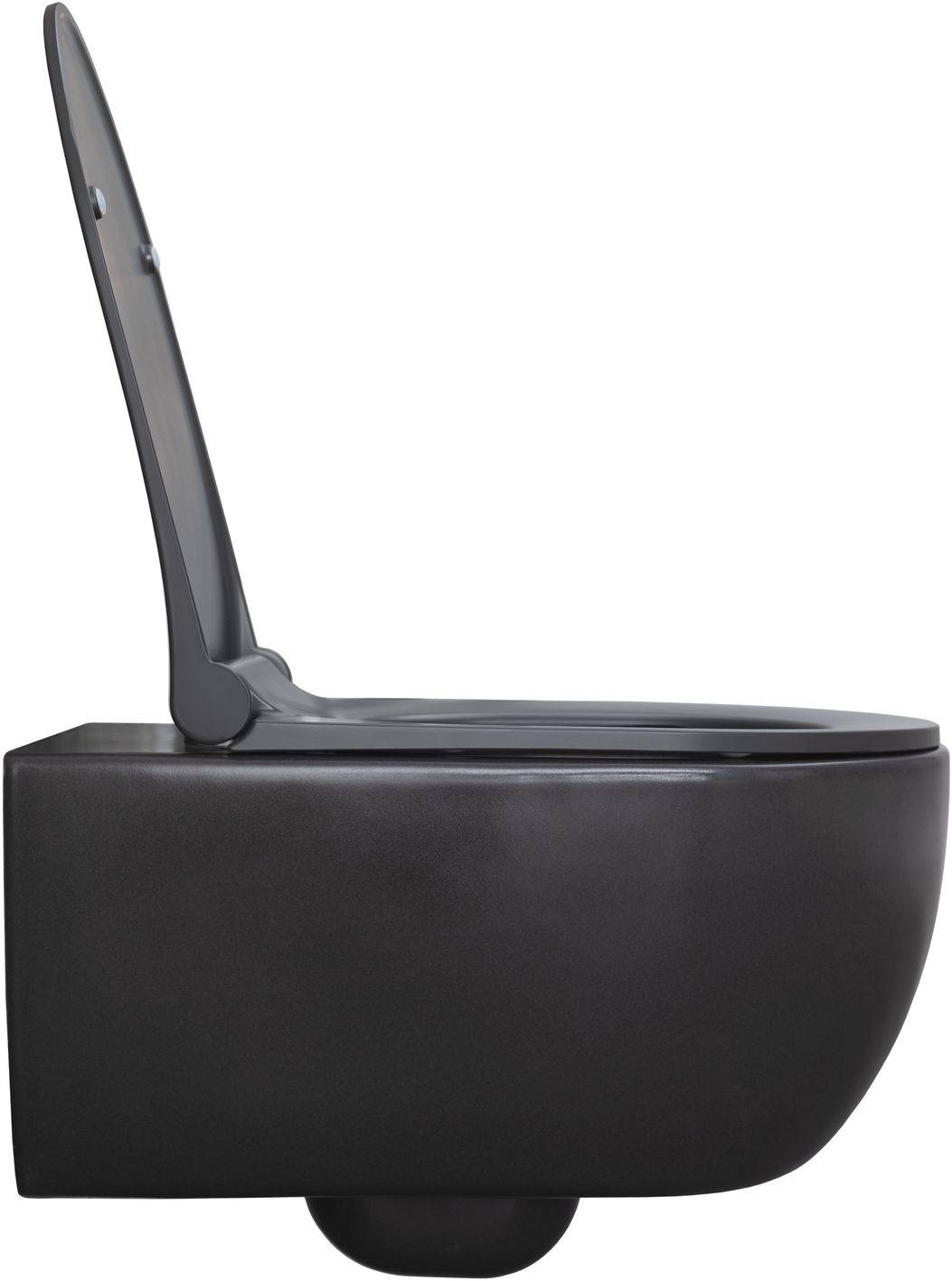 Чаша подвесного унитаза Allen Brau Priority 36х54.5х33 см серый 4.31001.AN