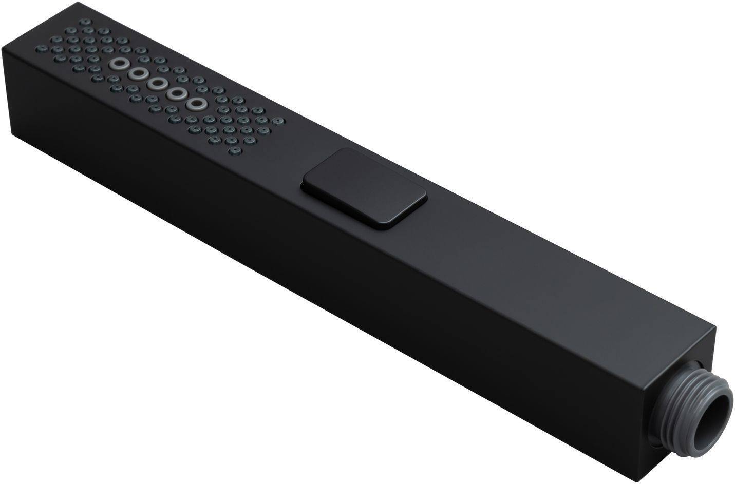 Душевая лейка Allen Brau Infinity черный 5.21A22-31