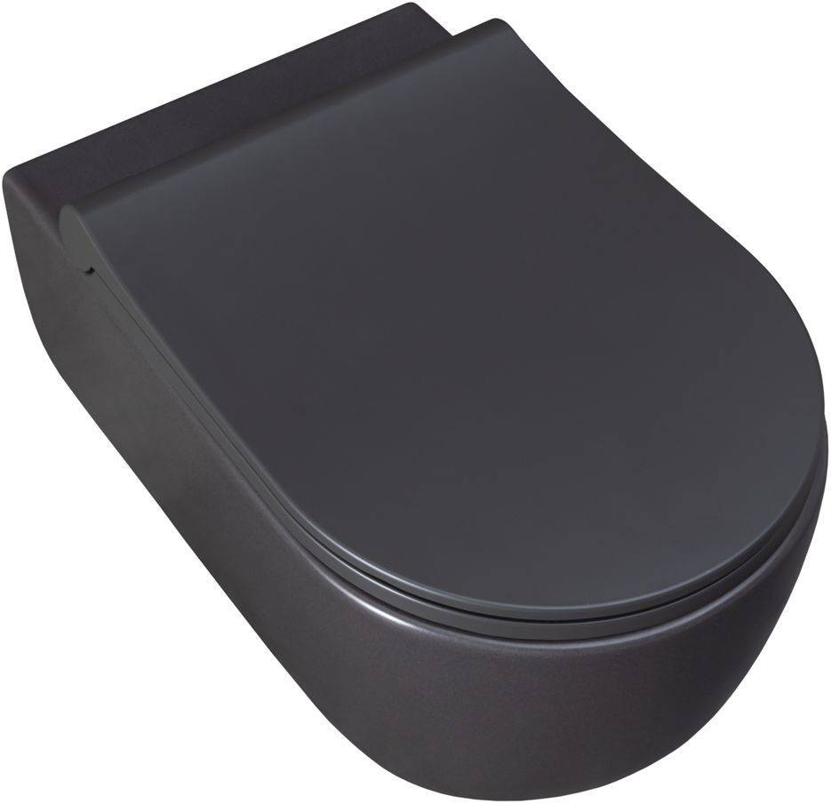 Чаша подвесного унитаза Allen Brau Priority 36х54.5х33 см серый 4.31001.AN