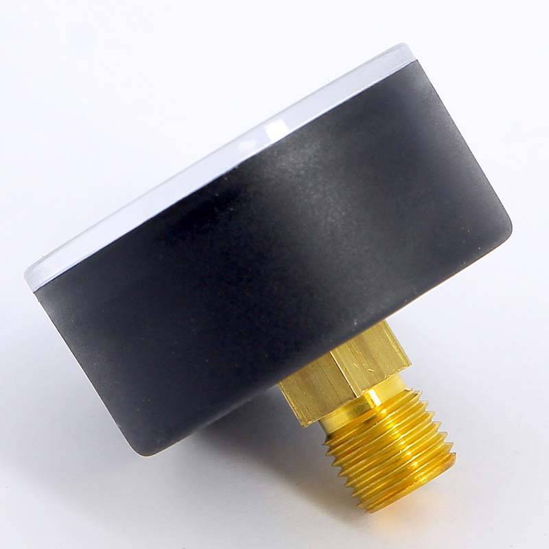 Манометр аксиальный Watts F+R100 16 бар 50 мм 1/4 10008094