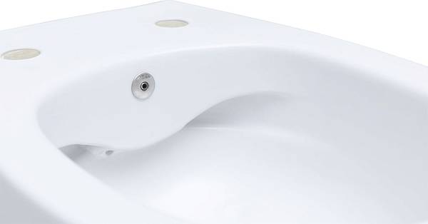 Унитаз подвесной безободковый Allen Brau Fantasy с гигиеническим душем 51x36.3 см 4.11HC1.20