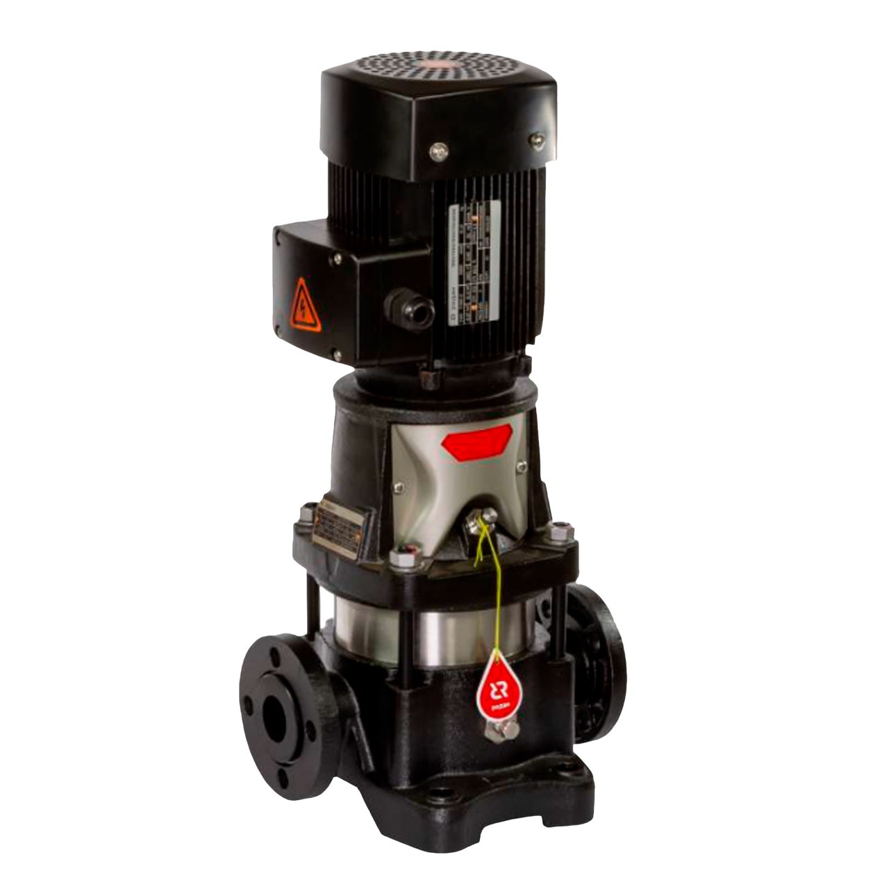 Насос вертикальный многоступенчатый Ридан RMV 5-2F 1520481