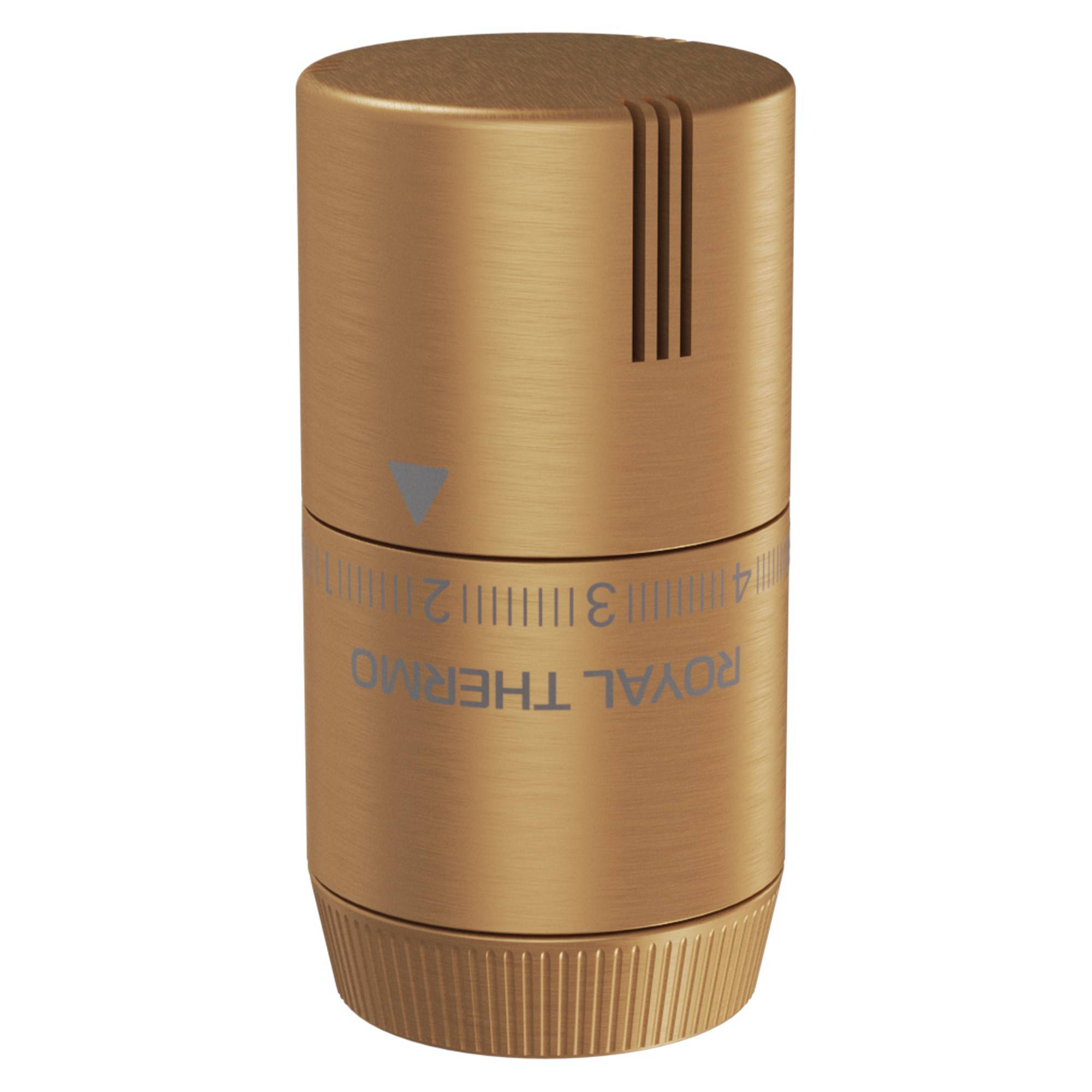 Термоголовка жидкостная Royal Thermo Design M30x1.5 золото матовое НС-1706253