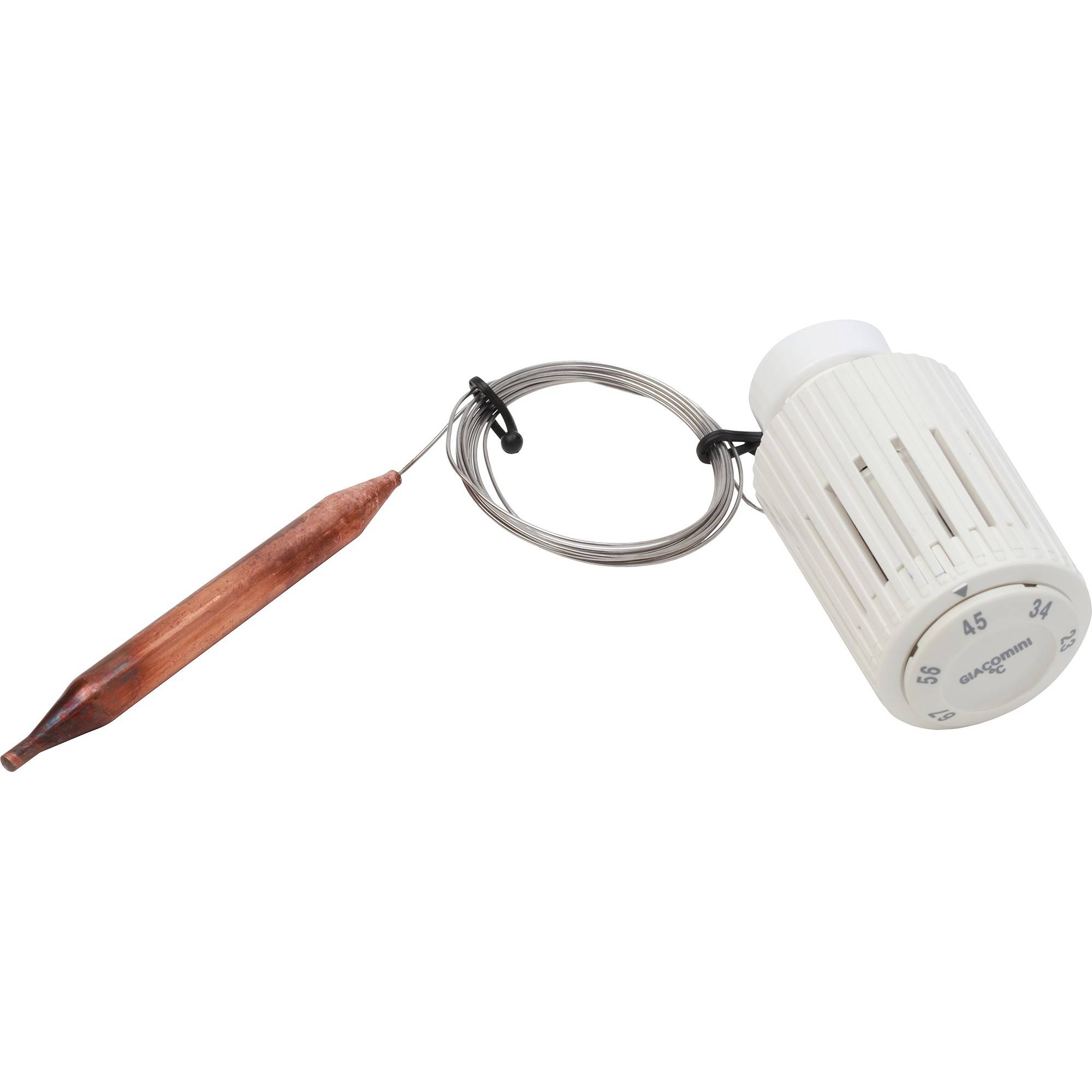 Головка термостатическая Giacomini R462L с накладным датчиком 2 м R462LX001