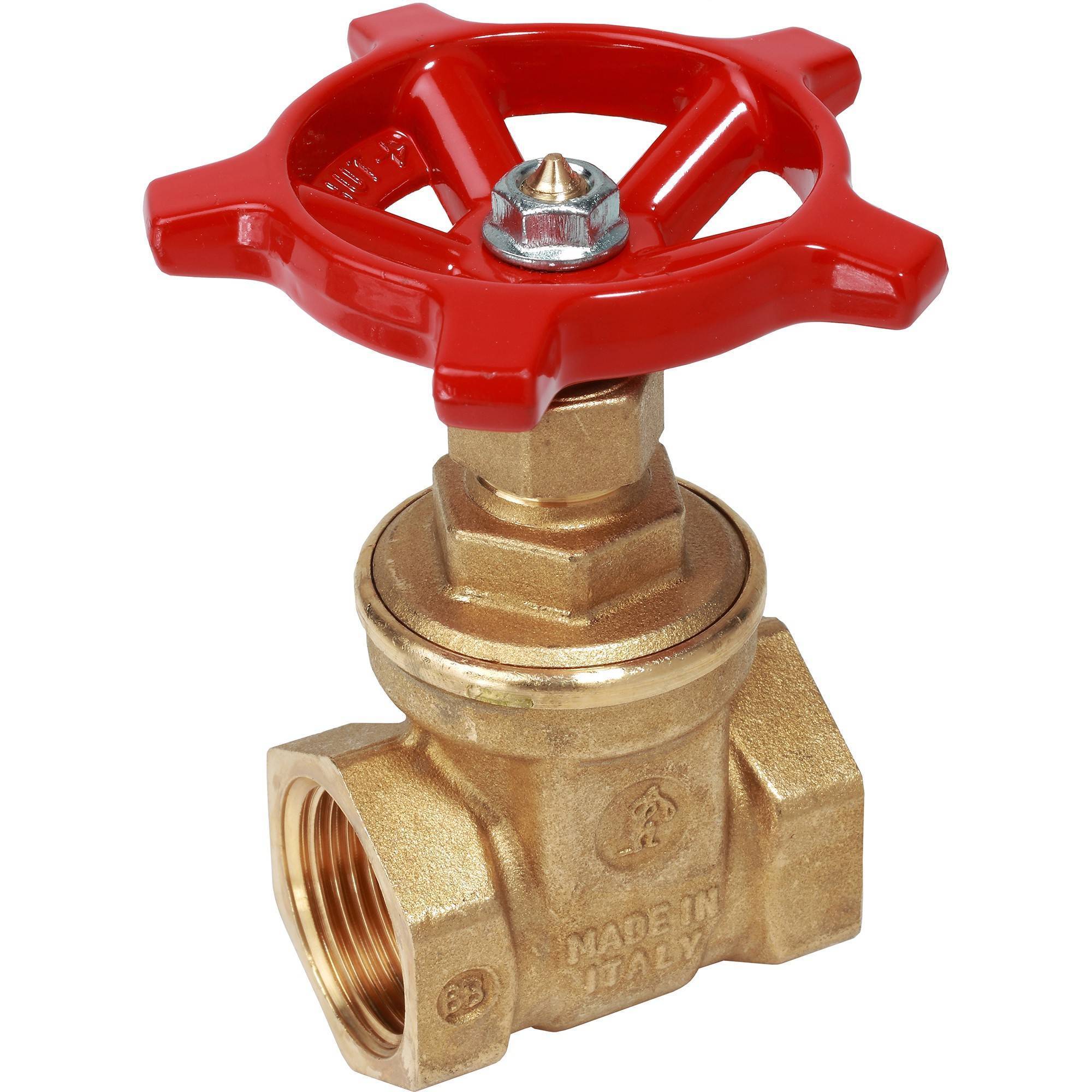 Задвижка латунная Giacomini 1 ВР R55Y005