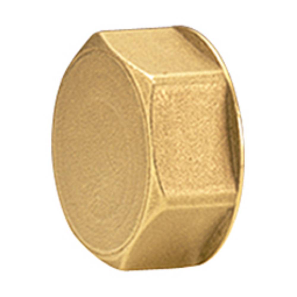 Пробка для коллектора Giacomini 24x19 ВР R594Y002