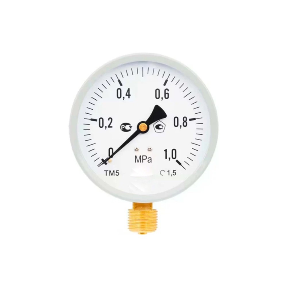 Манометр радиальный Росма ТМ-510Р.00 100 мм 0.6 МПа G1/2