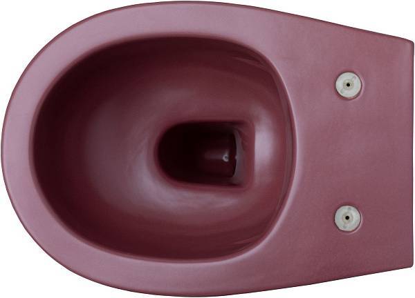 Унитаз подвесной Allen Brau Fantasy 36.3x51x40 см красный 4.11004.BD