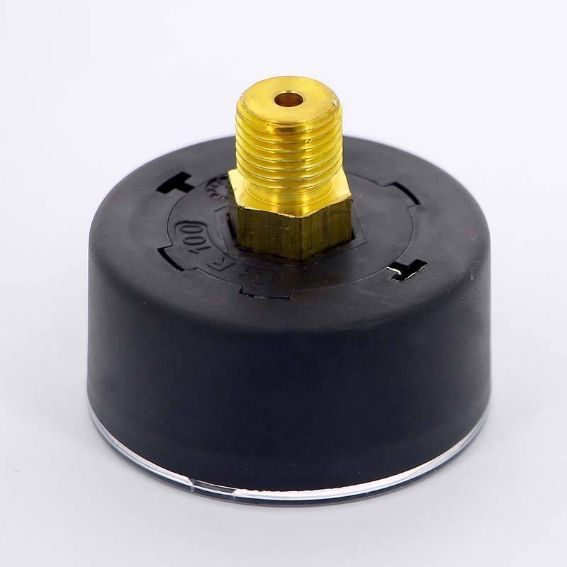 Манометр аксиальный Watts F+R100 16 бар 50 мм 1/4 10008094