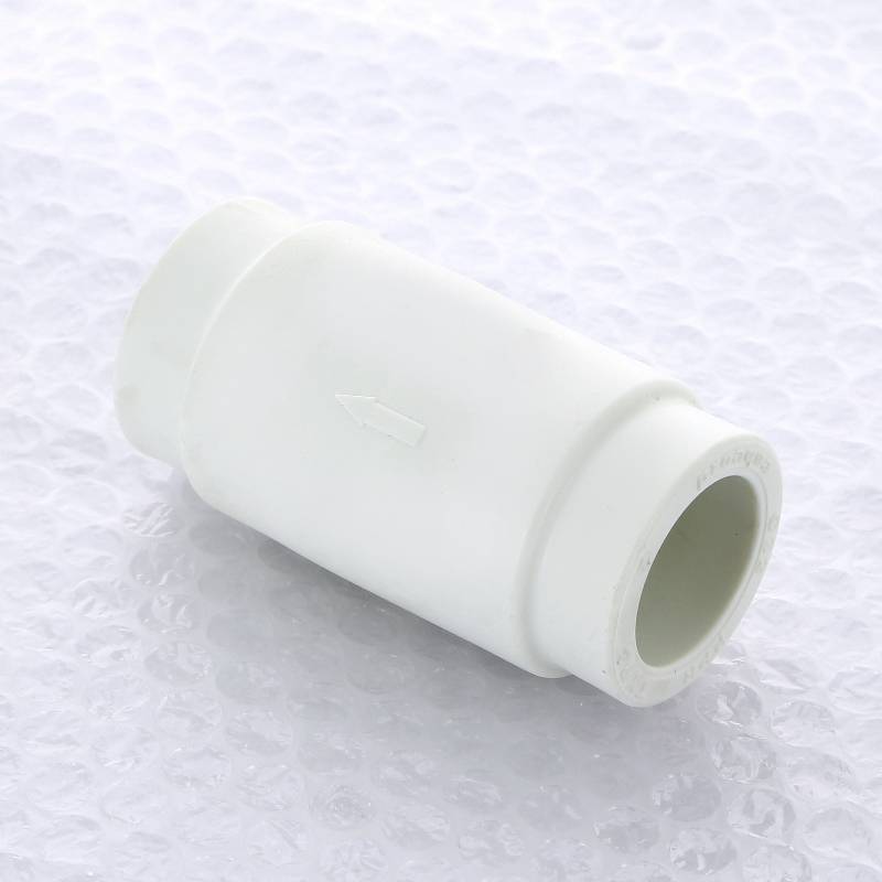 Клапан обратный Pro Aqua ДУ32 1 1/4 PA47012