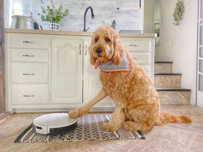 Робот-пылесос Yeedi K650