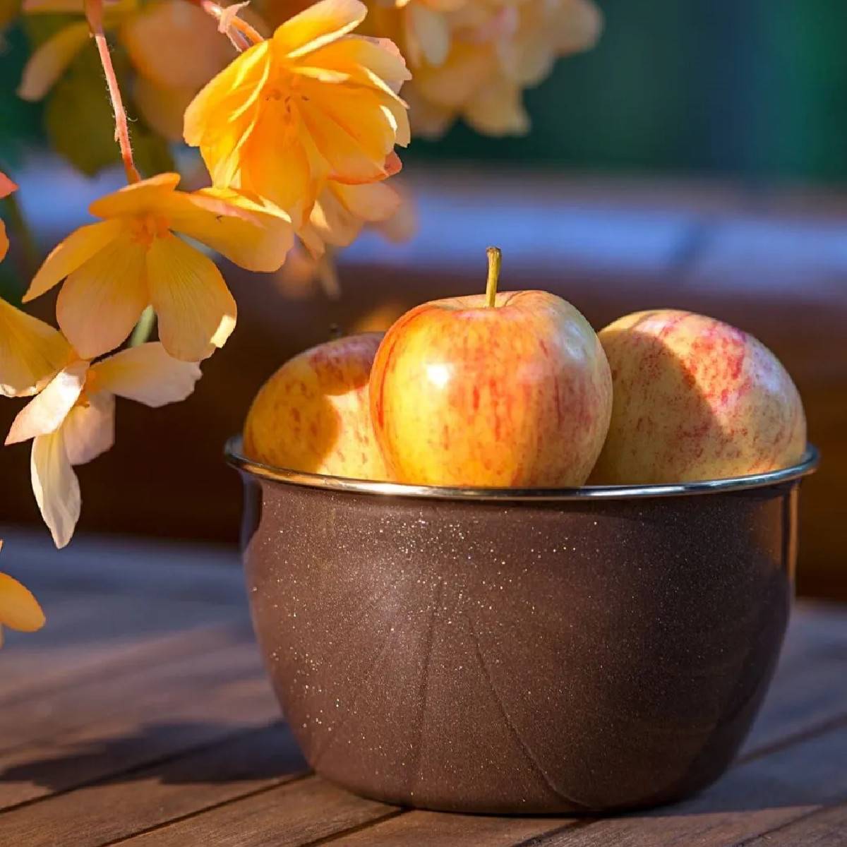 Миска эмалированная Metrot Шафран низкая 1.15 л 7376