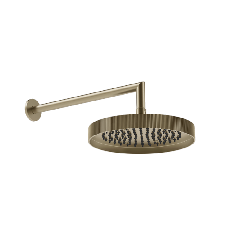 Верхний душ Gessi Rigato 250x250 мм с держателем Finox Brushed Nickel 63745149