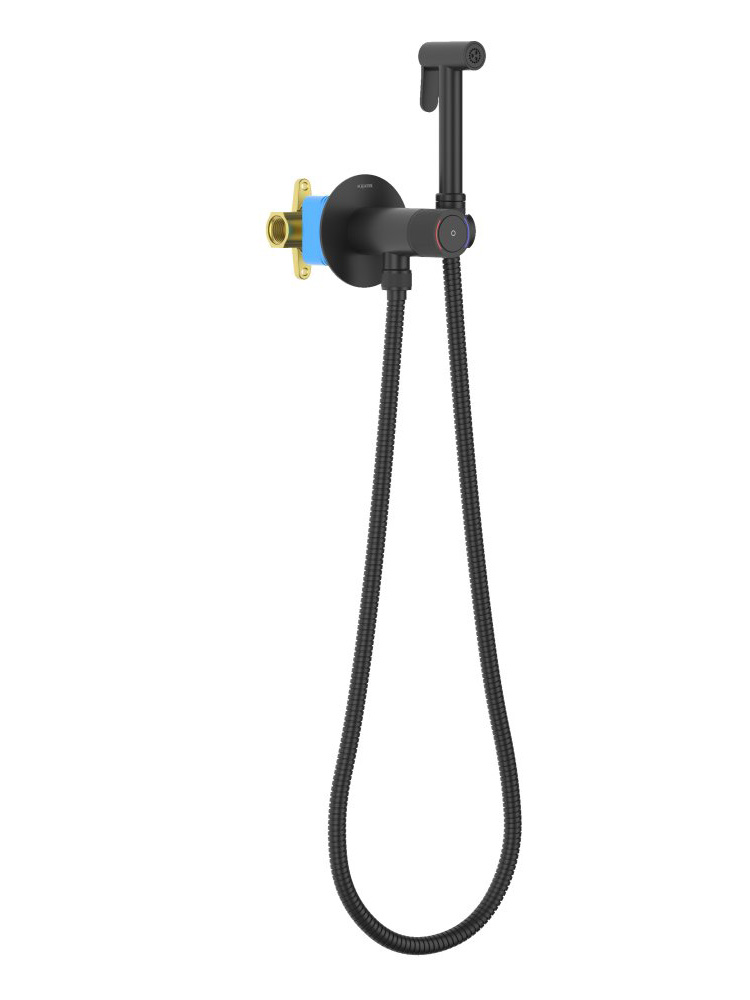 Комплект для гигиенического душа встроенный Aquatek Бетта Select матовый черный AQ1023MB