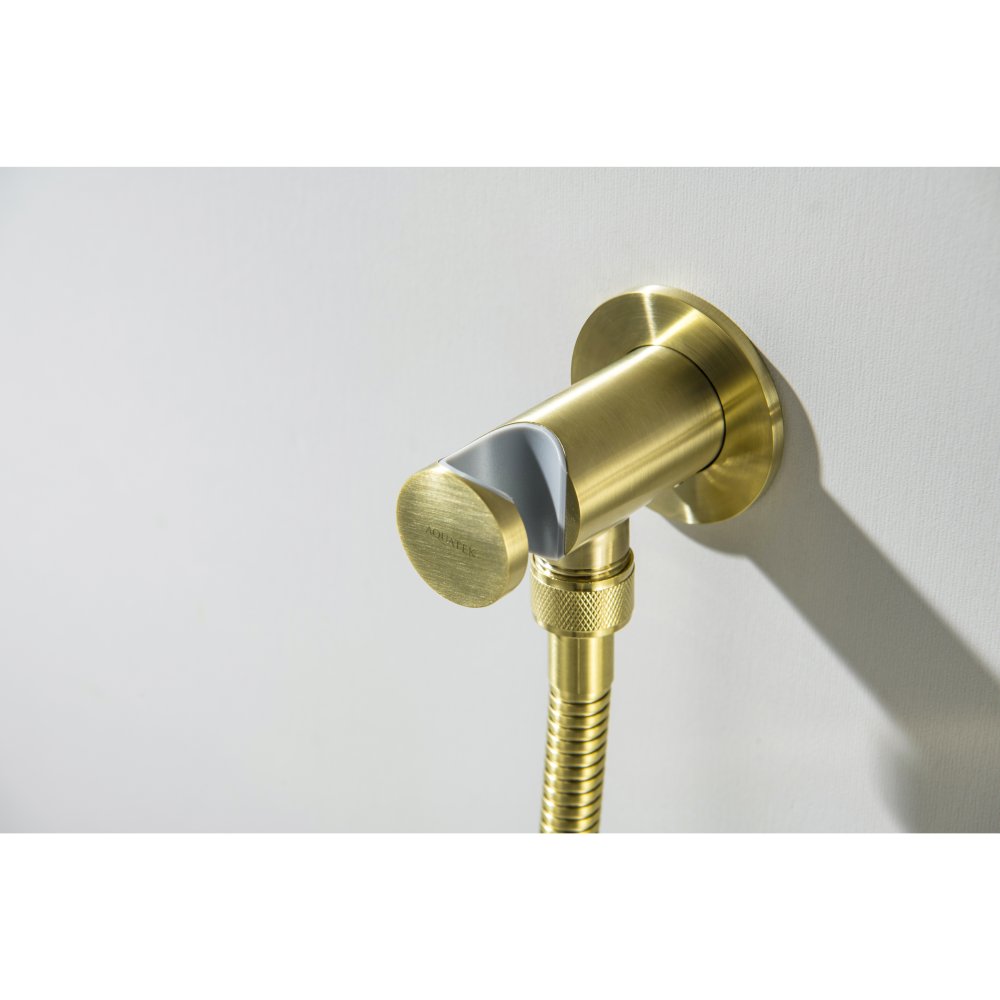 Шланговое подсоединение с держателем Aquanet AQ2464BG шлифованное золото AQ2464BG