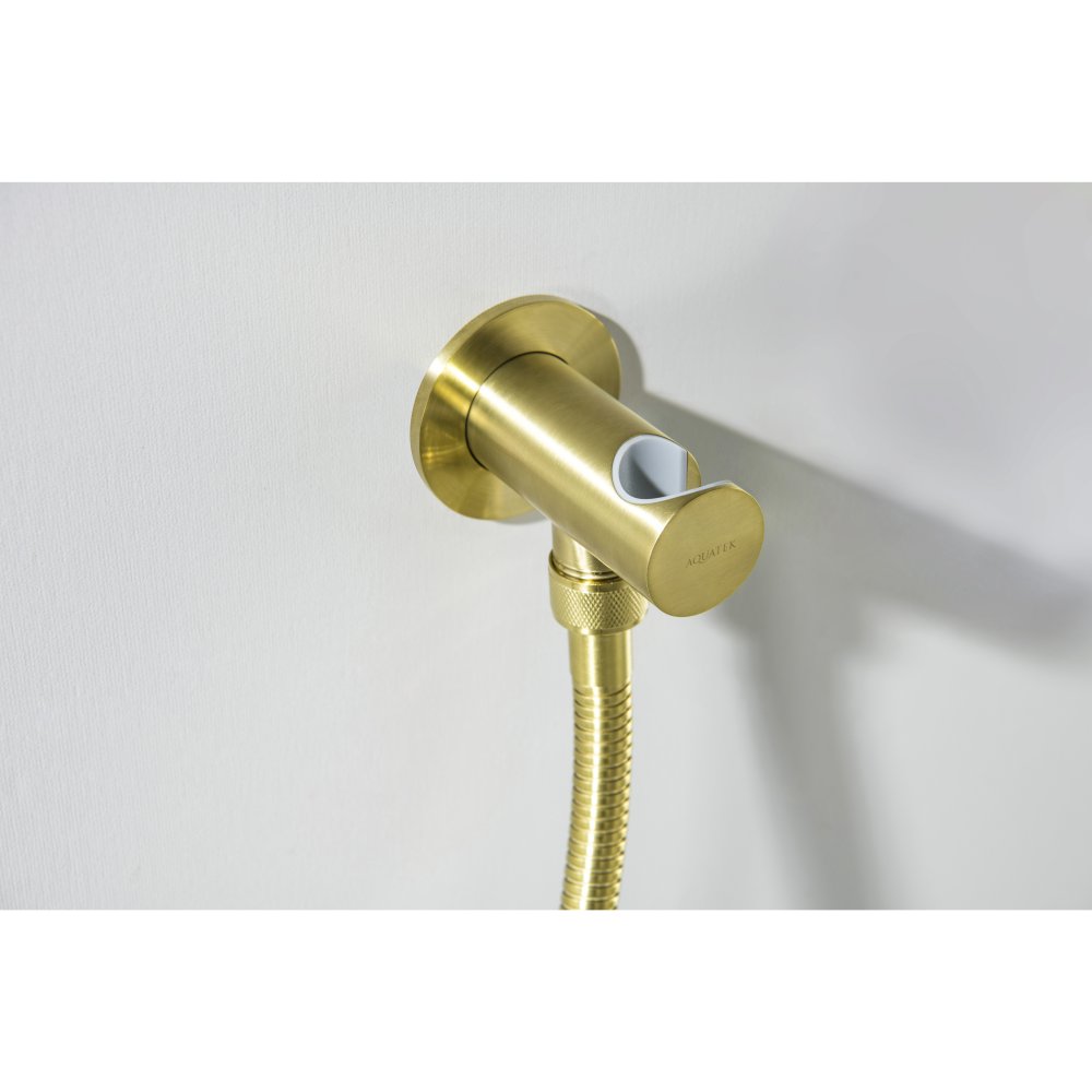 Шланговое подсоединение с держателем Aquanet AQ2464BG шлифованное золото AQ2464BG