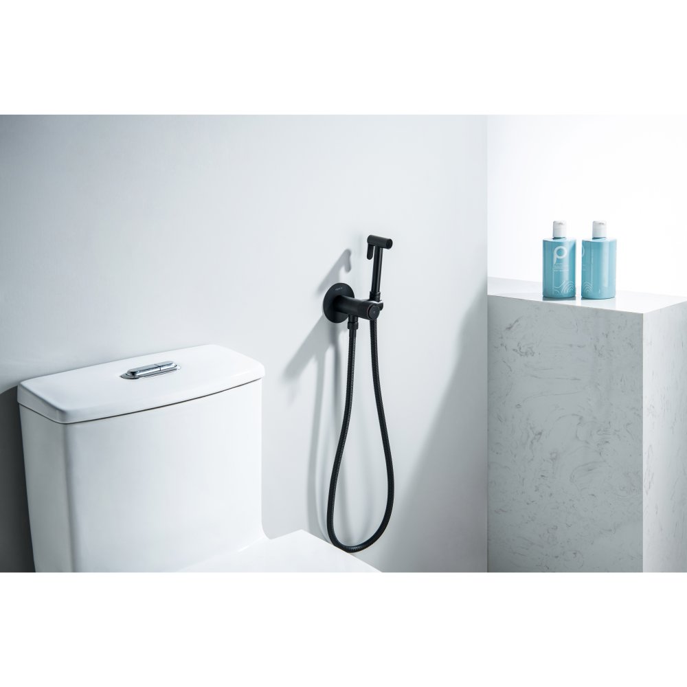 Комплект для гигиенического душа встроенный Aquatek Бетта Select матовый черный AQ1023MB