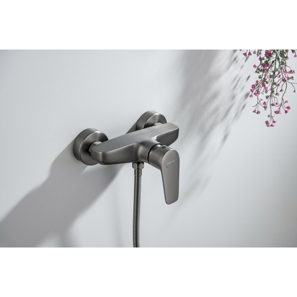 Смеситель для душа Aquanet Бетта оружейная сталь AQ1160BGM