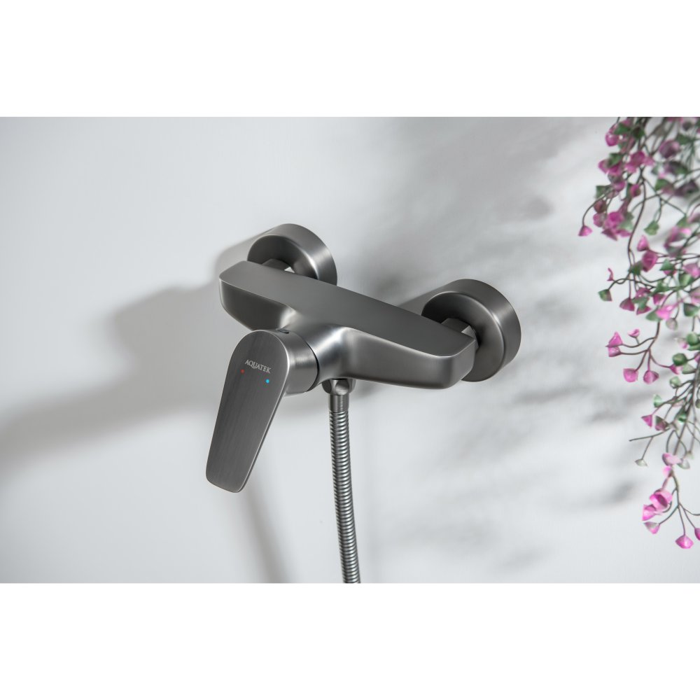 Смеситель для душа Aquanet Бетта оружейная сталь AQ1160BGM